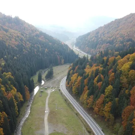 Pensiunea Bradului Colibita