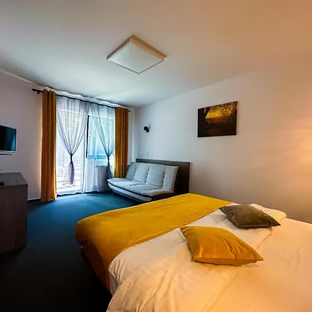 Guest house Pensiunea Bradului