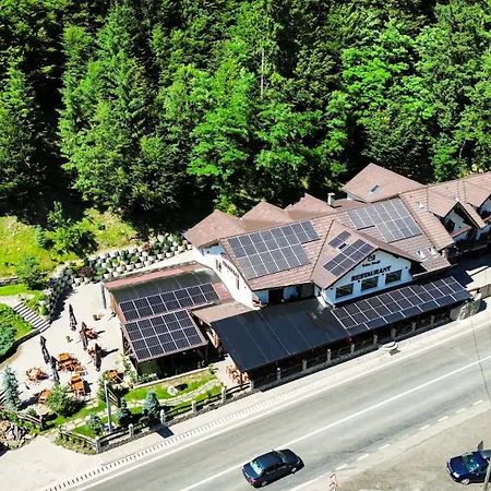 Pensiunea Bradului Guest house Colibita
