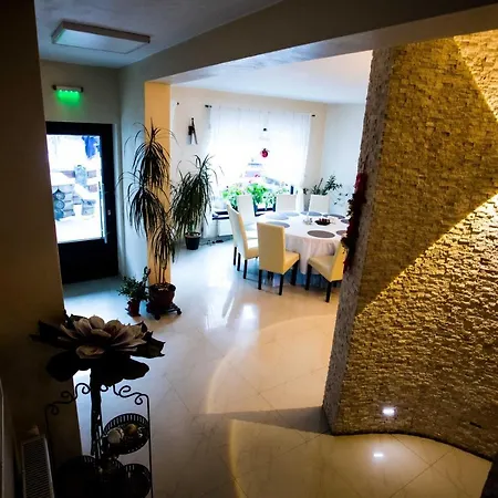Guest house Pensiunea Bradului 4*