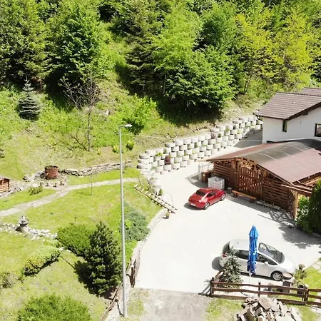 Pensiunea Bradului Guest house Colibita